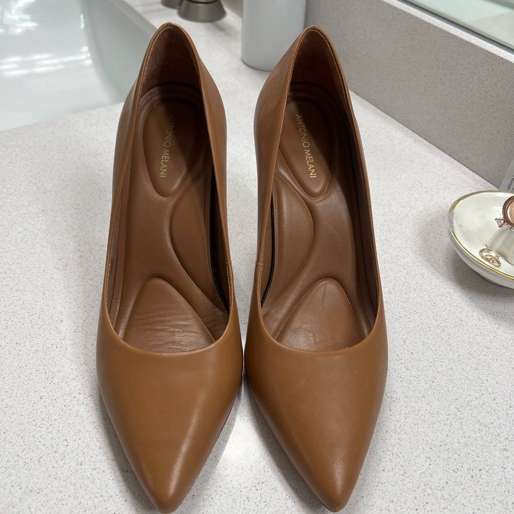 Antonio Melani Kara Pointed Toe Leather Pumps